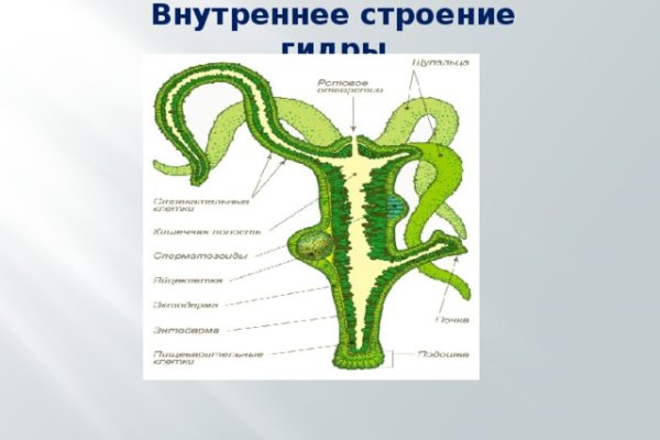 Кракен через браузер