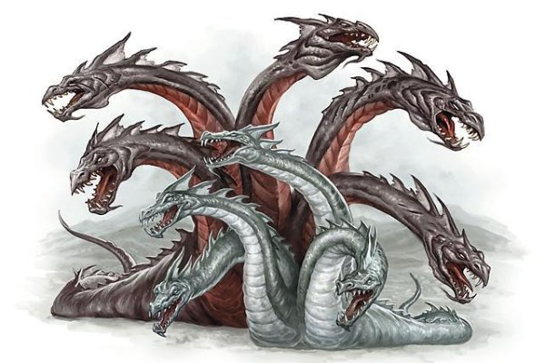 Kraken 17 at net
