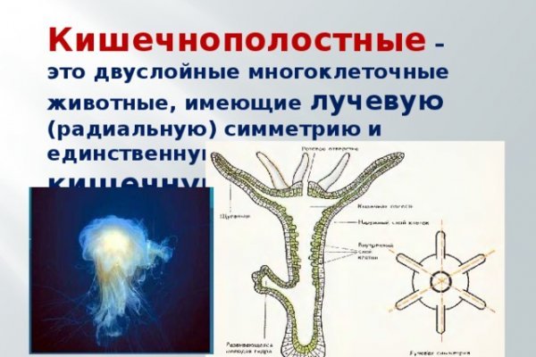 Кракен картель