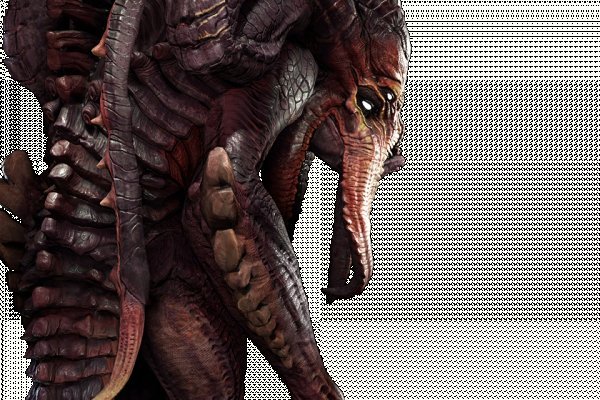 Kraken 12 at