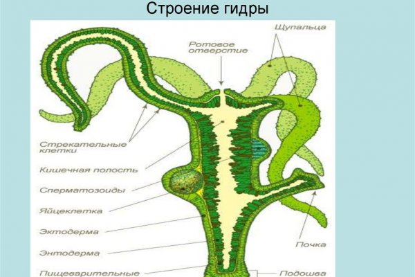 Кракен kr2web in маркетплейс ссылка