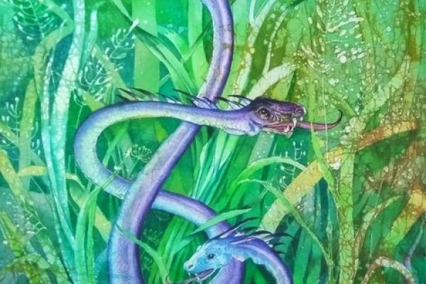 Kraken 24 at