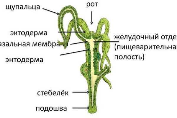 Кракен ссылка bazaonion com