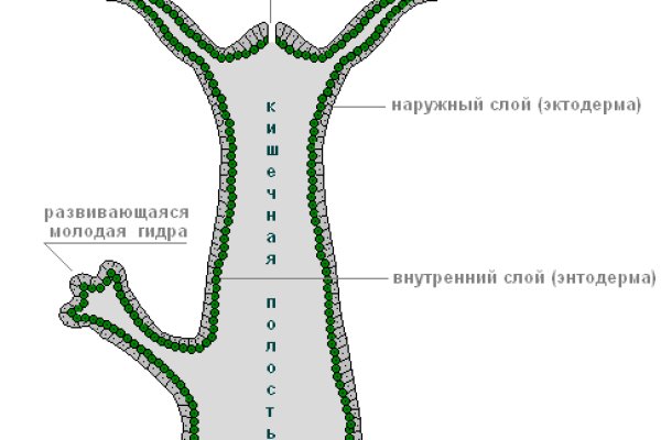 Кракен открылся