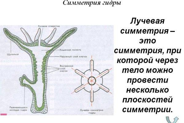 Кракен сайт вход