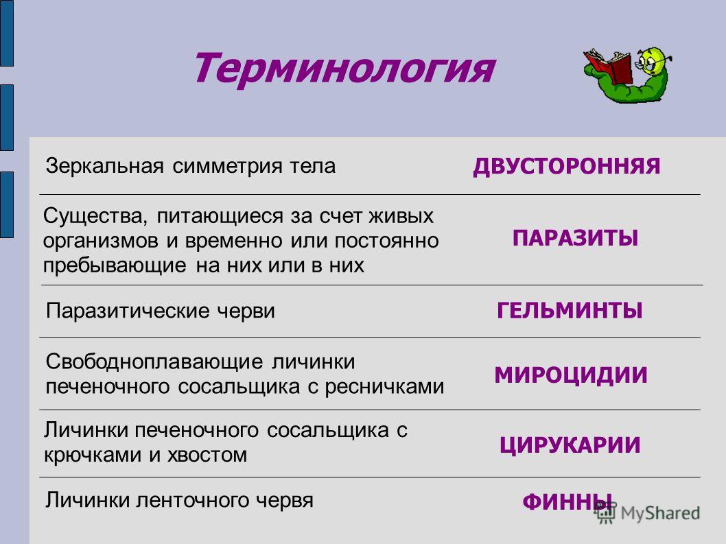 Нарко сайт кракен